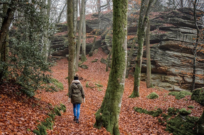 Exploration Trails