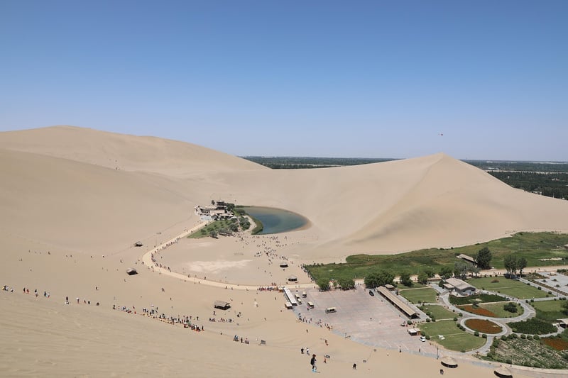Desert Oasis